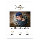 Poster [Ver] 30x21cm