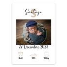 Poster [Ver] 30x21cm